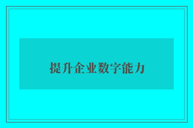 提升企业数字能力