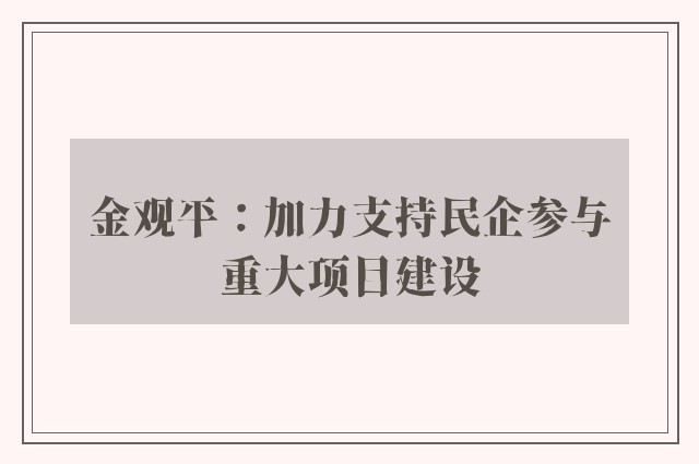 金观平：加力支持民企参与重大项目建设