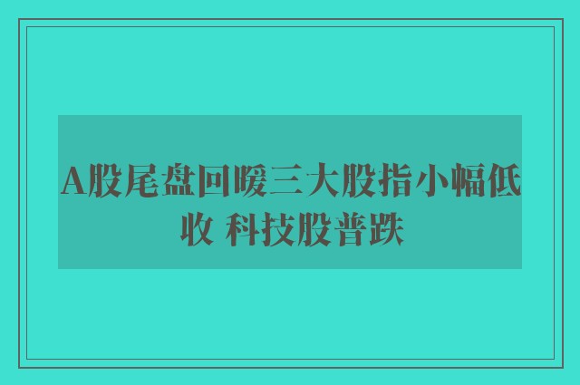 A股尾盘回暖三大股指小幅低收 科技股普跌