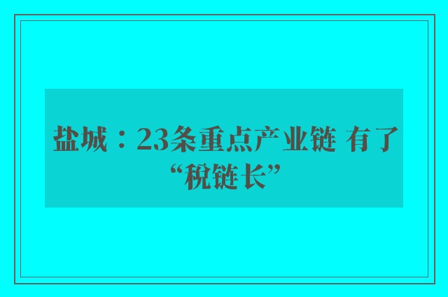 盐城：23条重点产业链 有了“税链长”