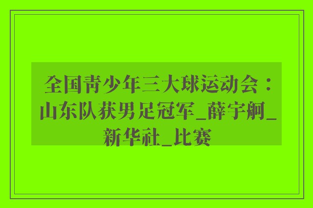 全国青少年三大球运动会：山东队获男足冠军_薛宇舸_新华社_比赛